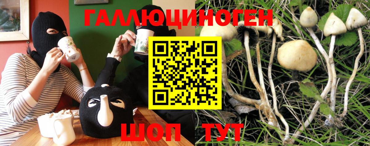 Псилоцибиновые грибы ЛСД Фролово