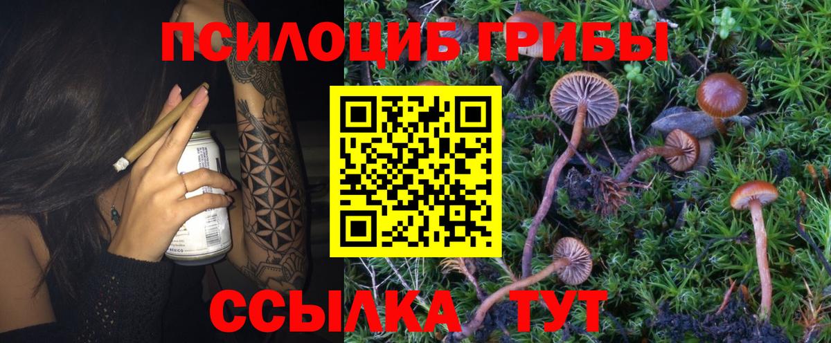 Псилоцибиновые грибы мухоморы  Вход с VPN  Псилоцибиновые грибы MAGIC MUSHROOMS  Фролово 