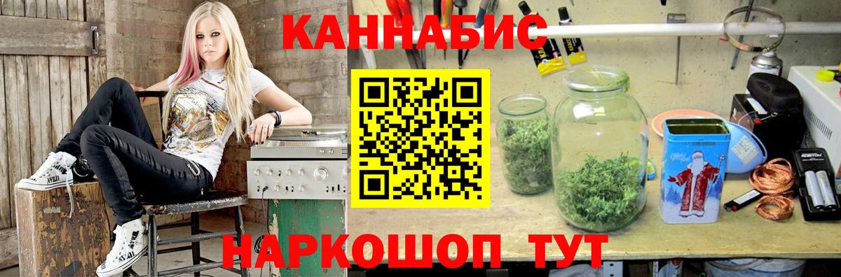 Бошки марихуана семена  Вход с VPN  Фролово  Канабис OG Kush  Бошки марихуана конопля 